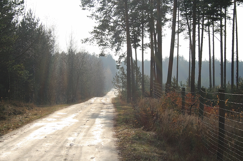 Rostoczek 11.2008 049